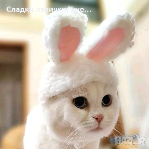 Котешка шапка, зайче с розови ушички. , снимка 1 - За котки - 43147143