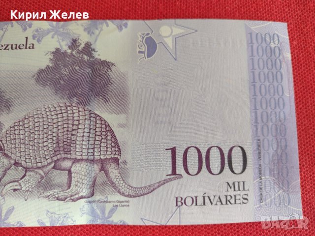 Банкнота ВЕНЕЦУЕЛА УНИКАЛНО КРАСИВА ПЕРФЕКТНО СЪСТОЯНИЕ ЗА КОЛЕКЦИОНЕРИ 27404, снимка 7 - Нумизматика и бонистика - 36698088