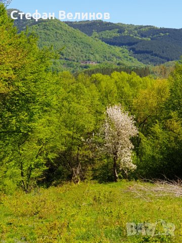 Продавам парцел в центъра на гр.Априлци, снимка 4 - Парцели - 14335829