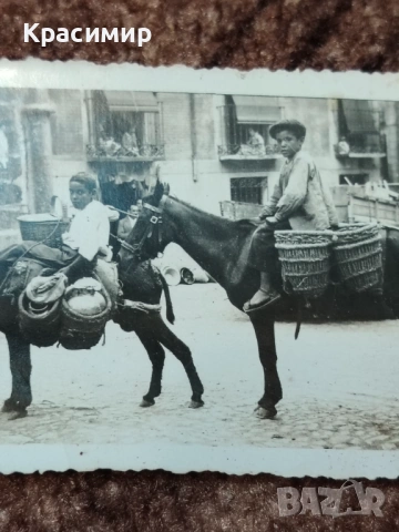 Антикварна Снимка Началото на 20 Век , снимка 4 - Колекции - 53206380