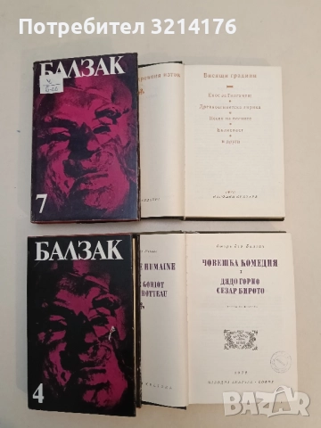 Висящи градини. Поезия на Древния изток – Сборник, снимка 2 - Художествена литература - 51463180
