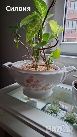 Стар красив супник (без капак), снимка 3 - Антикварни и старинни предмети - 52678741