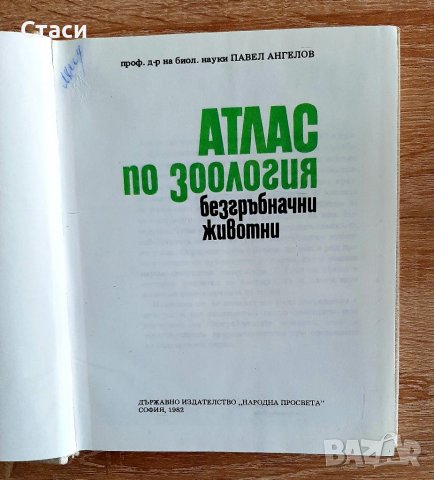 Атлас по зоология,Безгръбначни животни, снимка 1 - Специализирана литература - 39018456