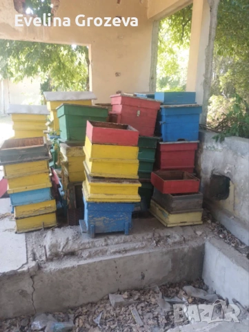 Продавам стари кошери., снимка 2 - За пчели - 53250473