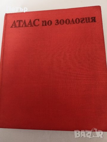 АТЛАС по ЗООЛОГИЯ , снимка 1 - Енциклопедии, справочници - 44126304