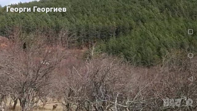 Парцел 3538 кв. м. с панорамен изглед към Стара Загора във вилна зона , снимка 3 - Парцели - 43733993