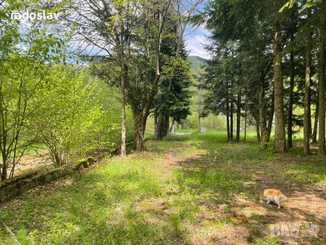 Поземлен имот: гр. Копривщица, Площ 5551 кв.м, снимка 13 - Парцели - 40779274