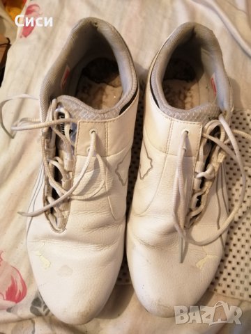 Спортни  пума