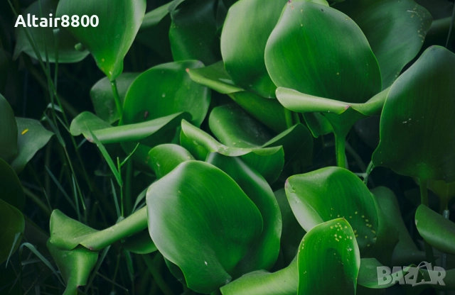 Tamron 18-270mm f/3.5-6.3 Di II VC PZD EF-S обектив Канон, снимка 12 - Обективи и филтри - 52517996