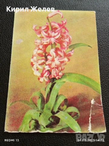 Старо календарче 86г. от соца рядко за КОЛЕКЦИЯ ДЕКОРАЦИЯ 26806, снимка 3 - Колекции - 51216772