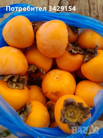 СУПЕР ИЗГОДНО ВКУСНИ И ПОЛЕЗНИ РАЙСКИ ЯБЪЛКИ !!!, снимка 1