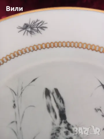 Прекрасни чинии с декорация от диви животни, снимка 5 - Чинии - 49293149
