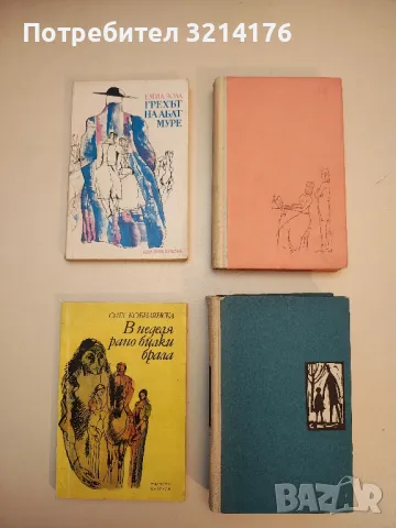 Загадъчната Отилия - Джордже Калинеску, снимка 2 - Художествена литература - 49824170