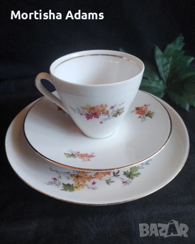 Немски сервиз за кафе- 21части, снимка 7 - Сервизи - 52175404