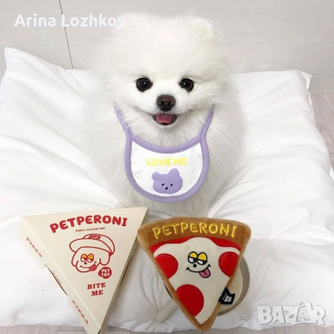 Очарователни кученца Померан