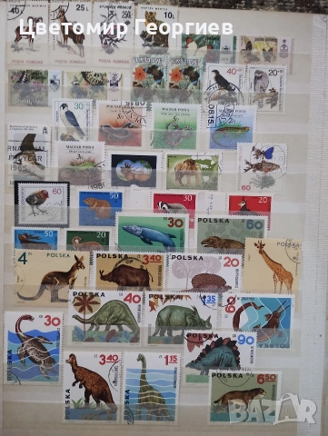 Класьор с марки /животни/ 650 бр ., снимка 11 - Филателия - 53078099