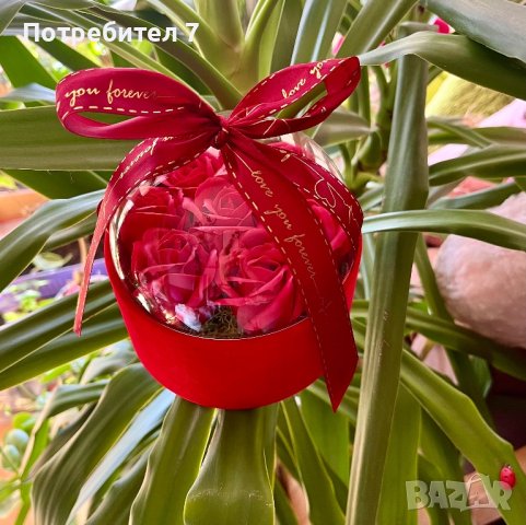 Кутия с прозрачен капак и сапунени розички, снимка 1