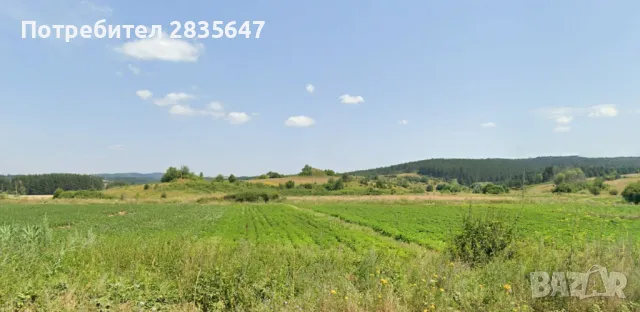 Планински горски парцел!, снимка 5 - Земеделска земя - 50005702