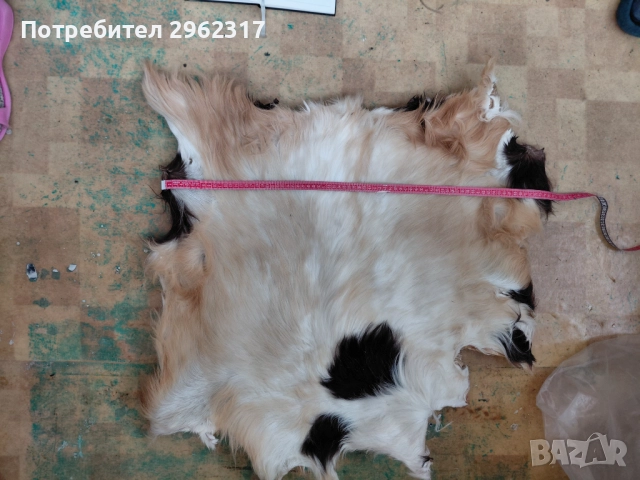 Козе кожа, снимка 2 - Други - 52376846