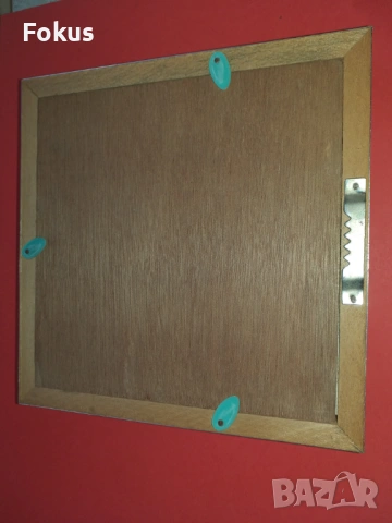 Пеперуда в рамка, снимка 5 - Антикварни и старинни предмети - 53363651