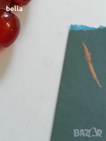 Броеница 34 грама -33 зърна на наниза +4 висящи, снимка 5 - Други ценни предмети - 50448795