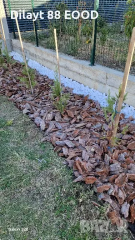 Мулч дебели големи борови кори, снимка 2 - Тор и почвени смеси - 48772166