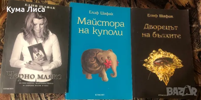 Елиф Шафак - Черно мляко , Дворецът на бълхите, Майстора на куполи , Любов, снимка 1 - Художествена литература - 47906214