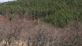 Парцел 3538 кв. м. с панорамен изглед към Стара Загора във вилна зона , снимка 3