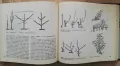 Дворът - съвременна домашна градина, Ц. Спасов, В. Цветков, снимка 4