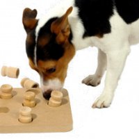 НОВИ! Кучешка дъска играчка за интелект от дърво , снимка 1 - За кучета - 29047964