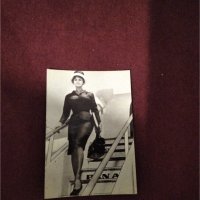 Картичка/снимка италианската актриса София Лорен, снимка 1 - Колекции - 43587050