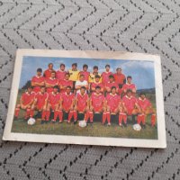 Календарче ЦСКА 1990, снимка 1 - Колекции - 33598415