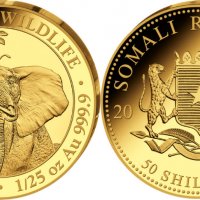 Златна монета Сомалийски слон 1/25 oz 2021, снимка 1 - Нумизматика и бонистика - 32828033