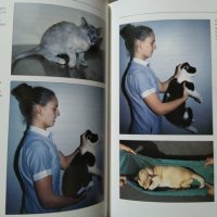 First Aid for Cats: The Essential Quick-Reference Guide. TIM HAWCROFT 1994 г., снимка 3 - Други - 27804370
