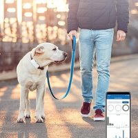 Winnes TK911 Pro GPS Tracker Нашийник за кучета 4G без абонамент Anti-Loss GPS, снимка 4 - За кучета - 43930513