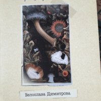 Българска  поезия, снимка 6 - Художествена литература - 32631280