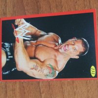 Кеч Карти # WWE, снимка 15 - Колекции - 43949624