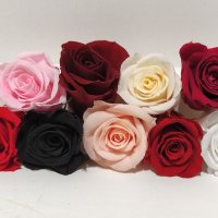 Естествени стабилизирани рози и цвят роза-за дома, подарък, декорация с мъх, снимка 5 - Декорация за дома - 31836873
