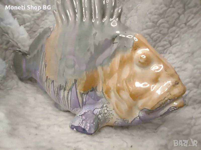 Риба порцелан, снимка 1