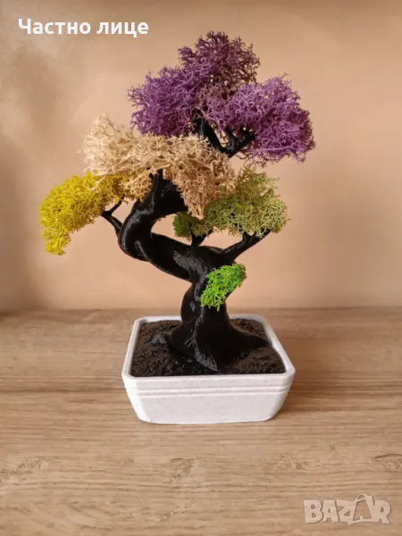 Бонсай със скандинавски мъх , снимка 1