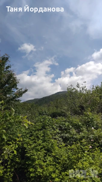 Продавам земеделска земя  950 кв.м – с. Овчарци, до Сапарева баня Цена: 55 000 лв. , снимка 1