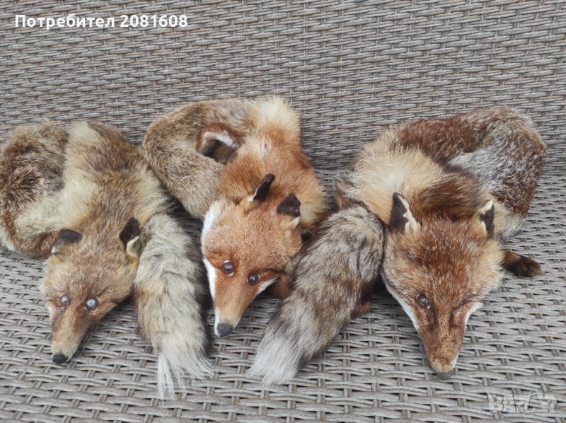 Лисица яка естествена кожа 3 броя , снимка 1