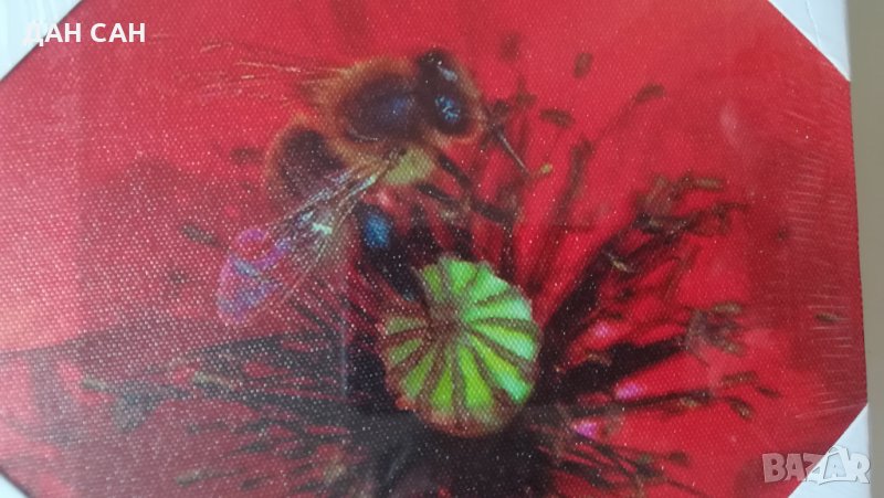 неразпечатвана картина пчела Франция, снимка 1