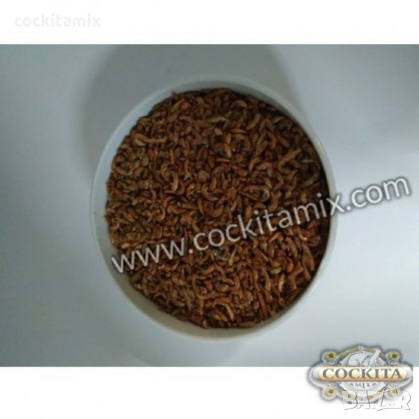 Гамарус 1литър, снимка 1