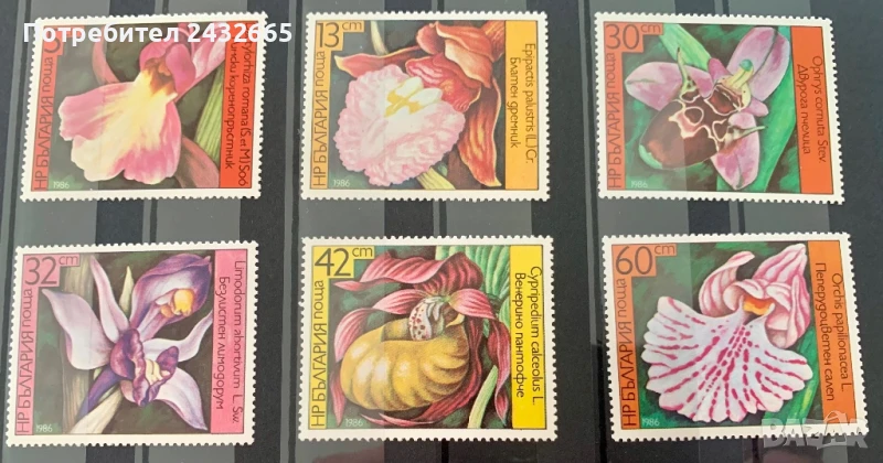 2618. България 1972 = БК 3482 /87 : ” Флора. Цветя. Орхидеи. ”, **, МNH, снимка 1
