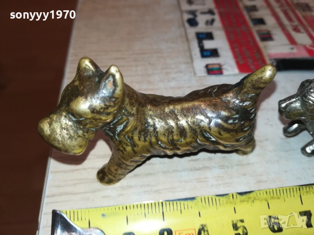 ГЛУТНИЦА-КУЧЕНЦА 0709250833, снимка 12 - Колекции - 51630160