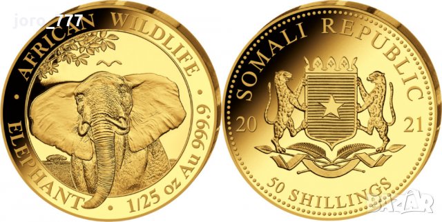 Златна монета Сомалийски слон 1/25 oz 2021, снимка 1 - Нумизматика и бонистика - 32828033