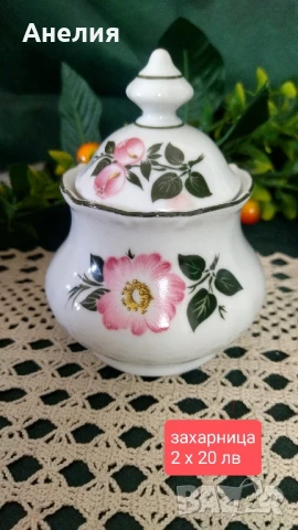 Winterling Bavaria дива роза , снимка 11 - Други - 50759177