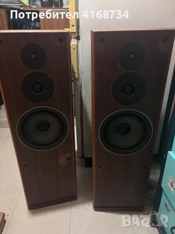 Уникални дървени колни Pionneer prologe , снимка 1