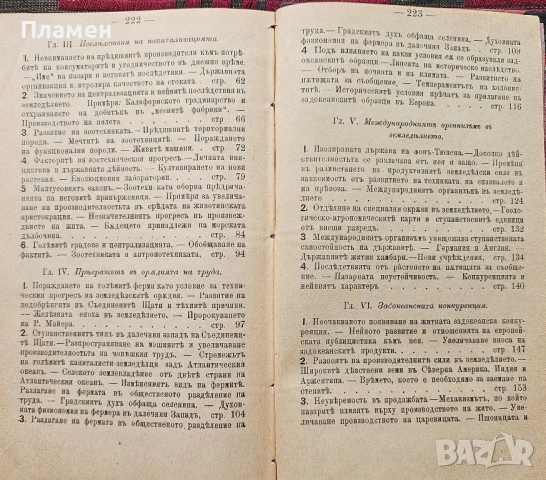 Капитализация на земеделската промишленость Людвикъ Крживицки /1902/, снимка 4 - Антикварни и старинни предмети - 51691220